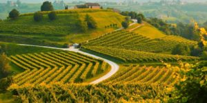 Valdobbiadene, prosecco hills