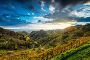 Prosecco hills